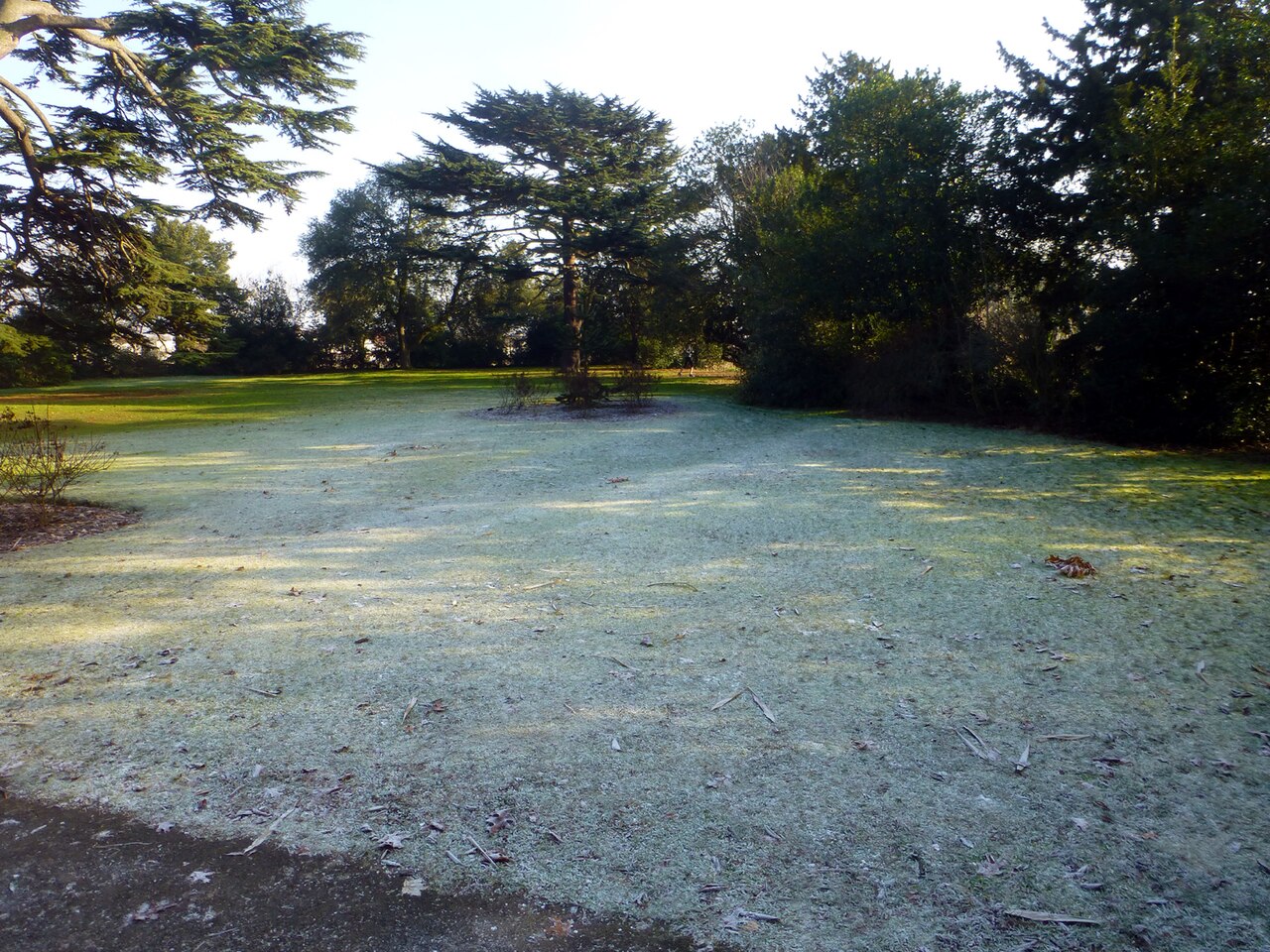 Frost covered grass in orchard