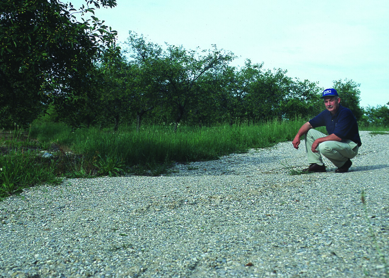 Farmer inspecting orchard ground