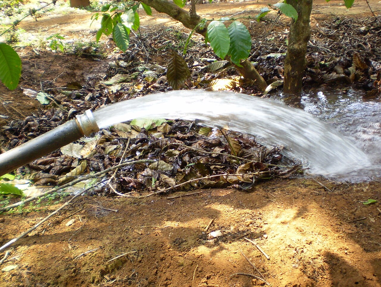 Irrigation hose watering ground