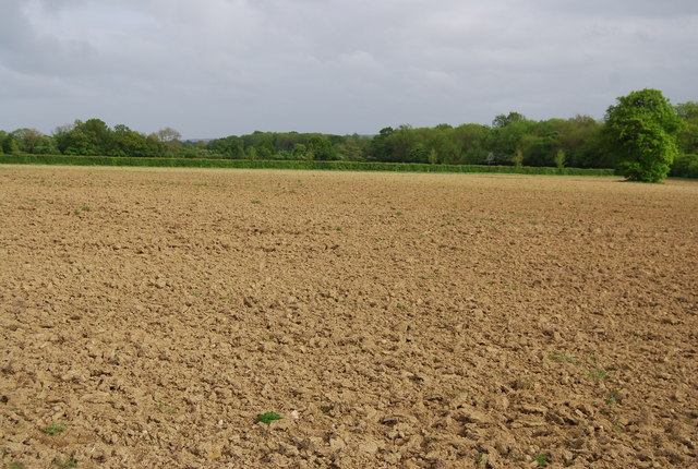 plowed field ready for planting
