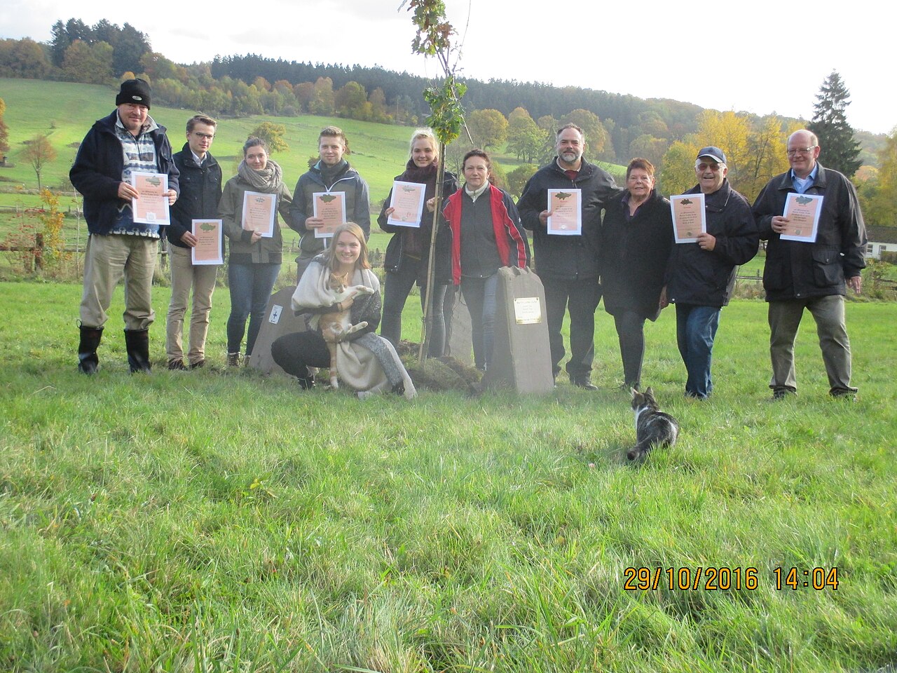 Group planting a young tree with certificates