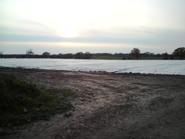 Dirt path beside covered hazelnut field