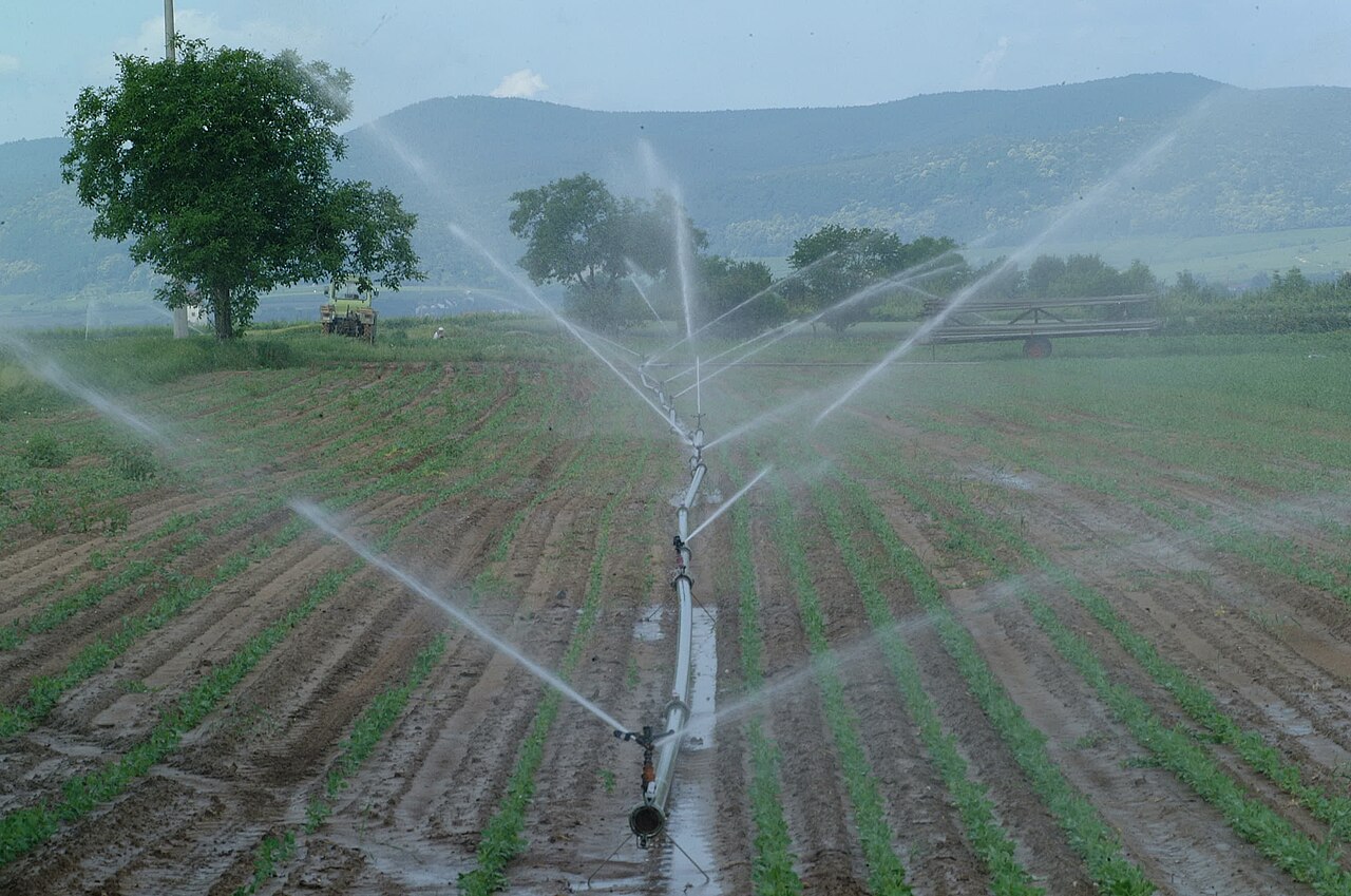 irrigation system in field