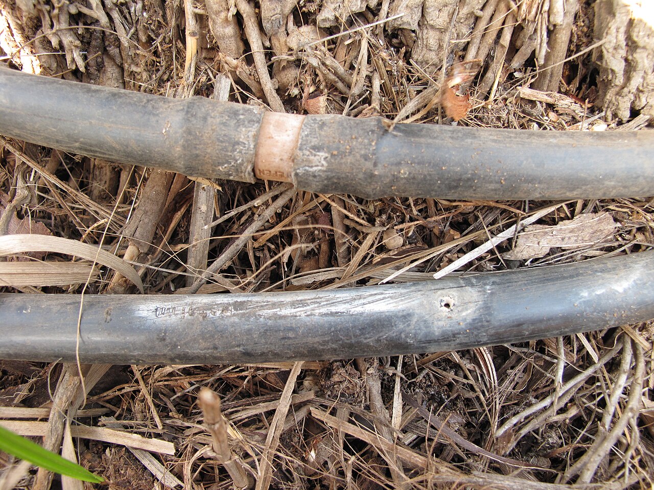 drip irrigation pipes in orchard