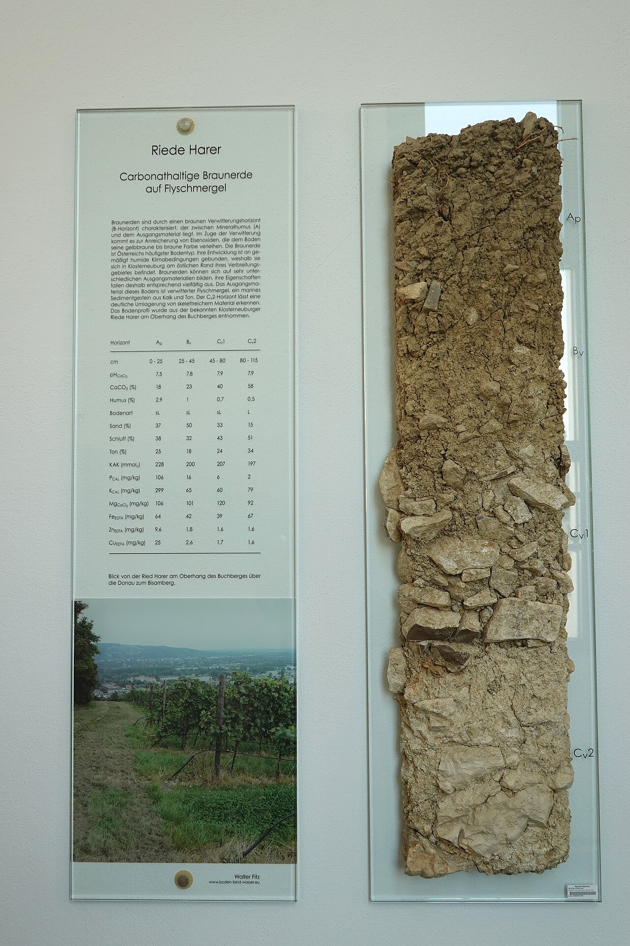 Soil profile and analysis chart