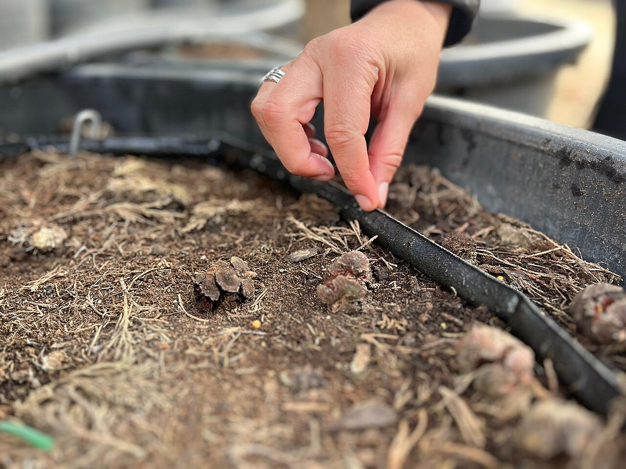hand adjusting irrigation tube