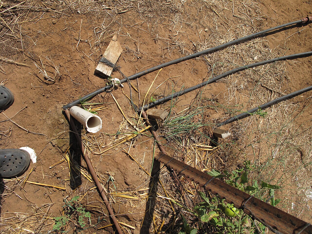 drip irrigation system setup