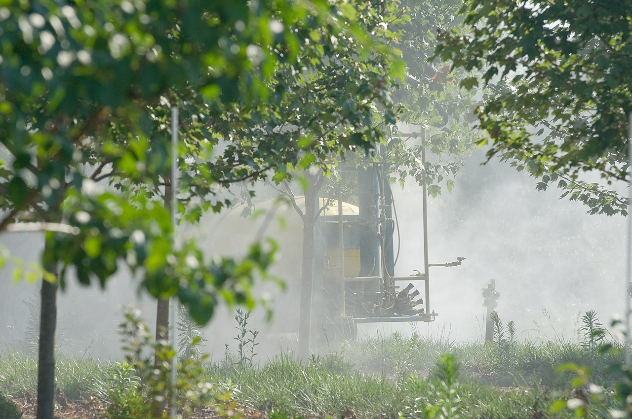 spraying hazelnut orchard