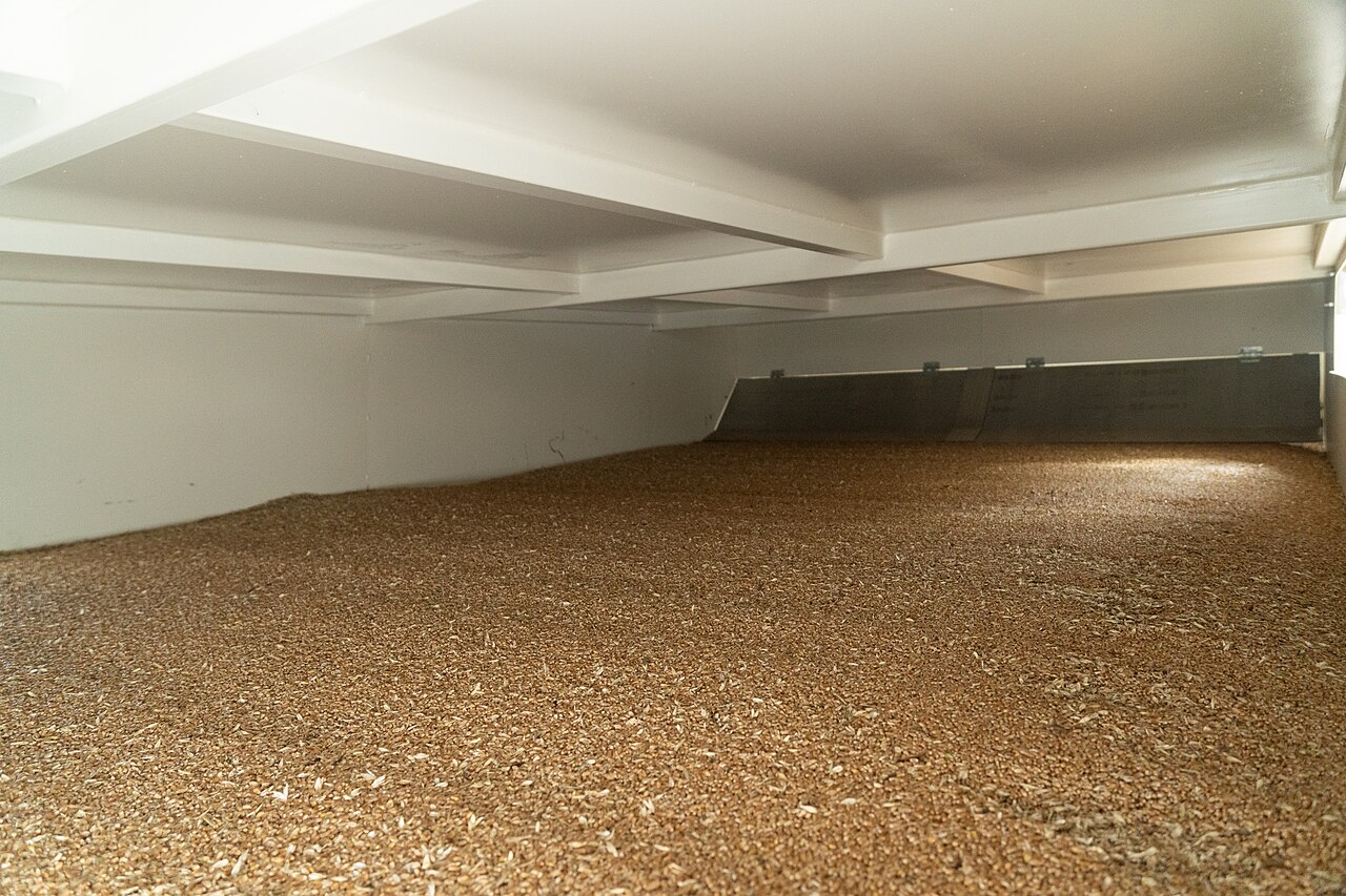 drying hazelnuts in storage