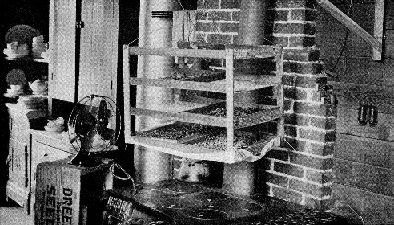 Vintage indoor nut drying setup