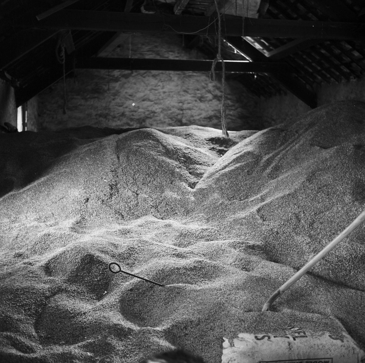 dried grain or nuts in storage