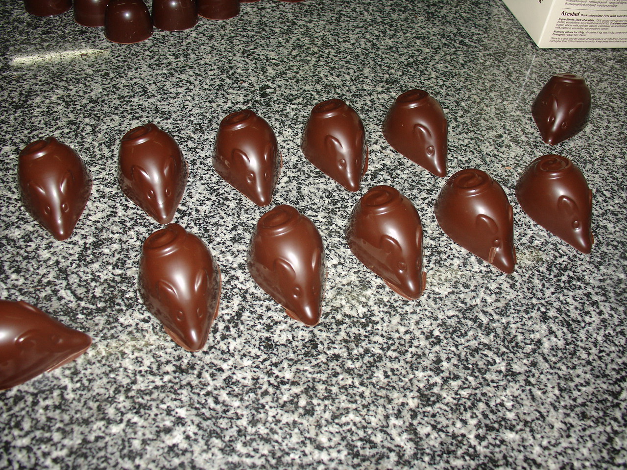 chocolate hazelnut pralines