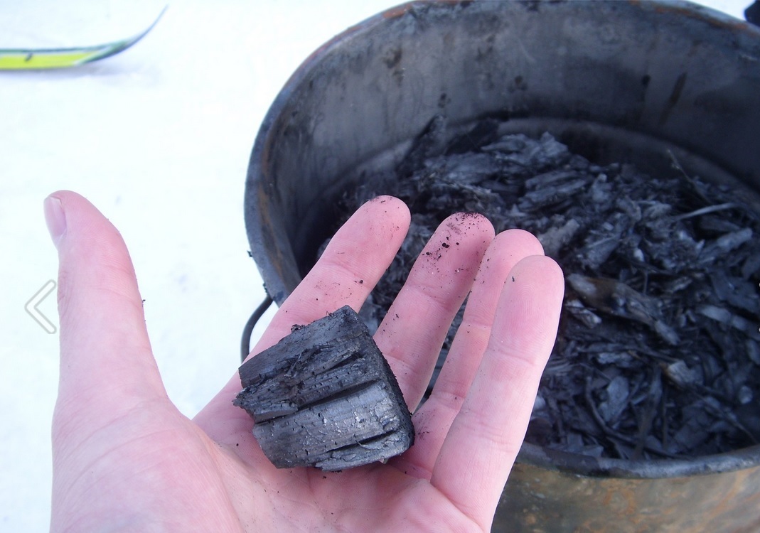 Biougljen (biochar) — proizvod pirolize biomase, primjer napredne termokemijske oporabe