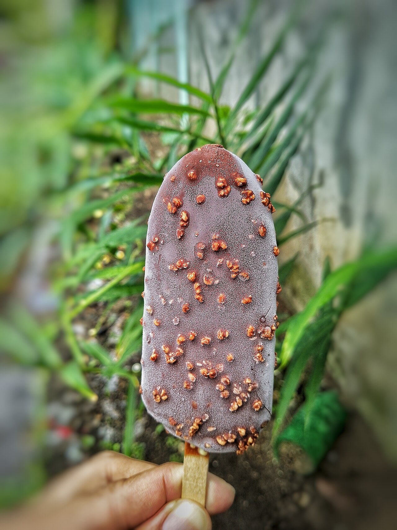 chocolate hazelnut ice cream bar