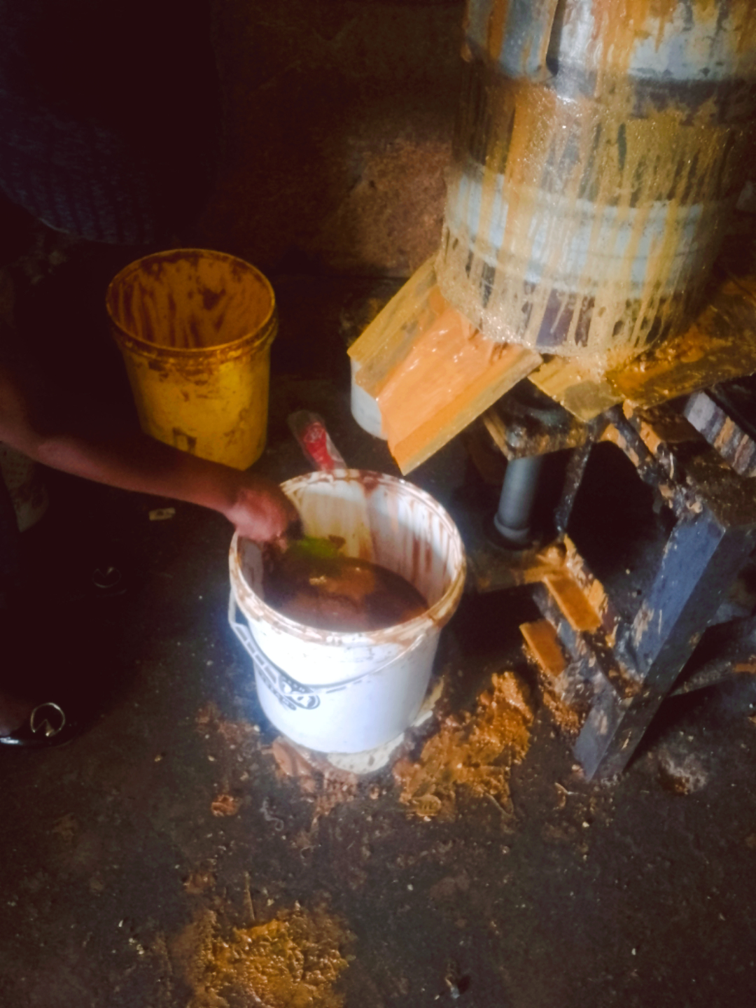 Hazelnut oil extraction process