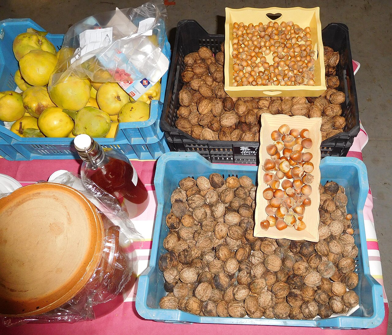 harvested hazelnuts and walnuts in crates