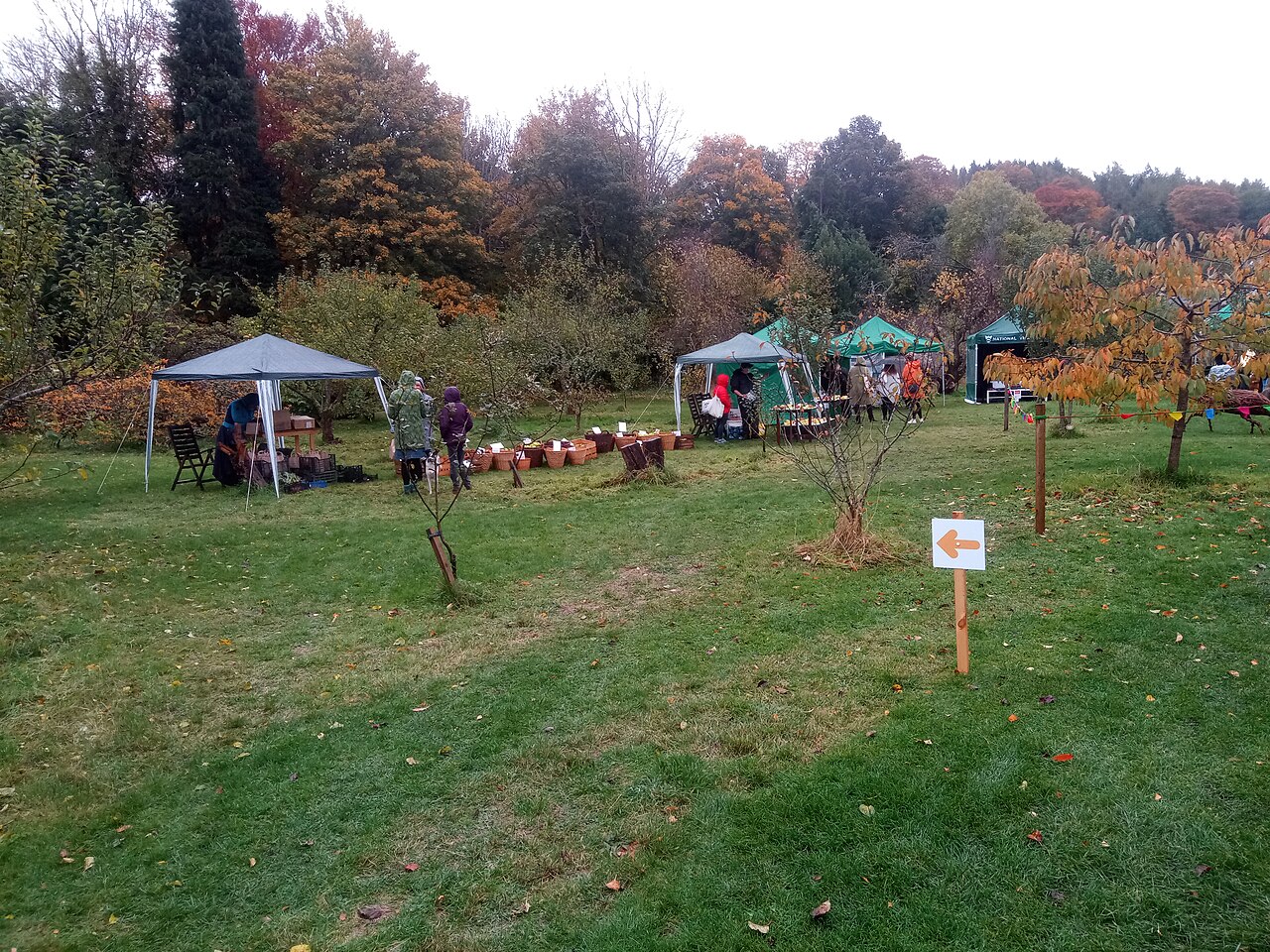 outdoor hazelnut market stall