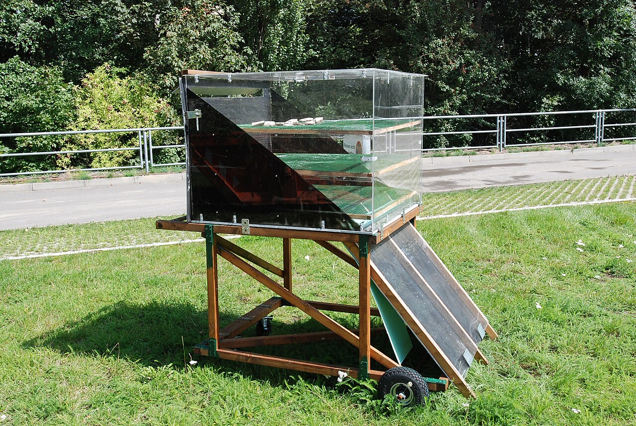 Solar dryer for nuts