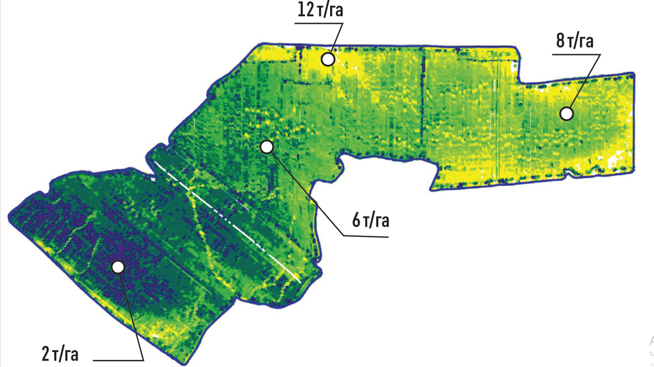 hazelnut orchard yield map